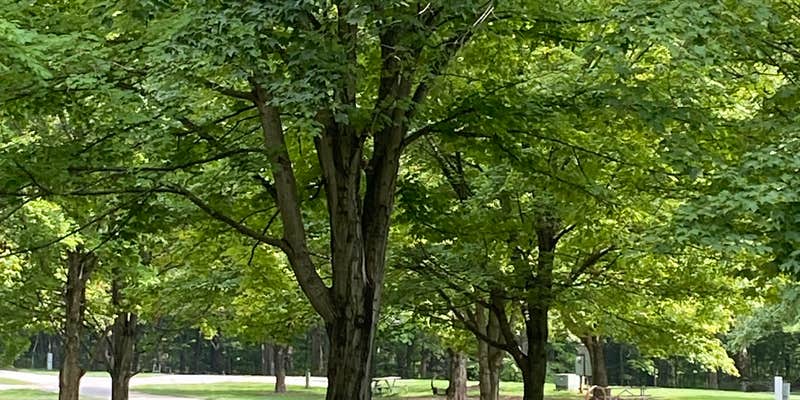 Camper submitted image from Prairie Creek