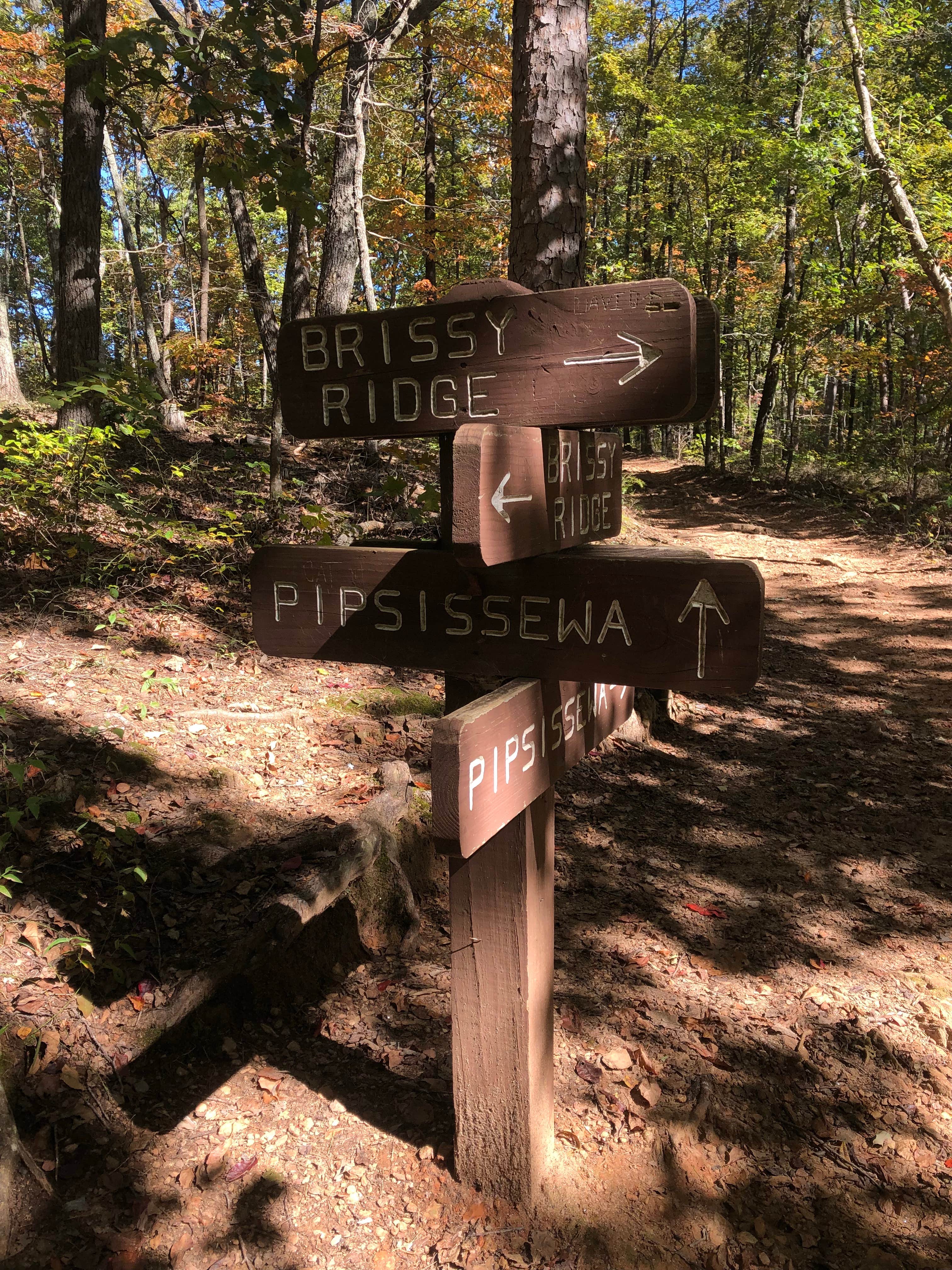 Camper submitted image from Paris Mountain State Park Campground - 4