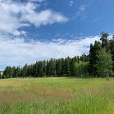 Review photo of Beartrap Meadow County Park by GoWhereYouAreDraw N., August 24, 2023