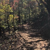 Review photo of Paris Mountain by Maddi P., October 29, 2018