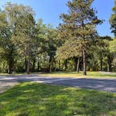 Review photo of Bald Eagle Campground and Cabins by Landon C., August 24, 2023