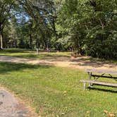 Review photo of Bald Eagle Campground and Cabins by Landon C., August 24, 2023