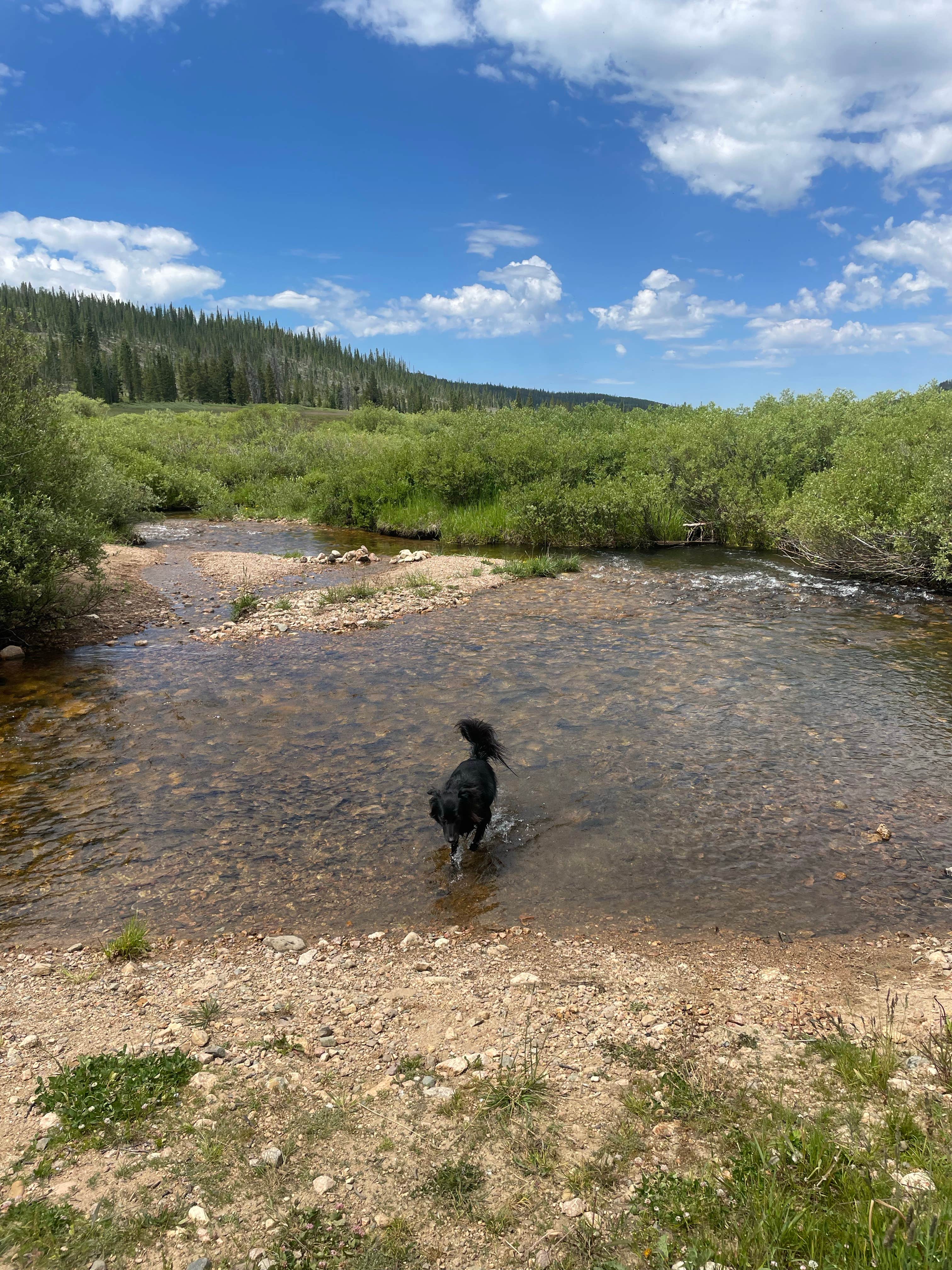 Camper-submitted photo at Bockman Campground — State Forest State Park near Gould, CO