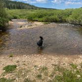 Review photo of Bockman Campground — State Forest State Park by Callie C., August 24, 2023
