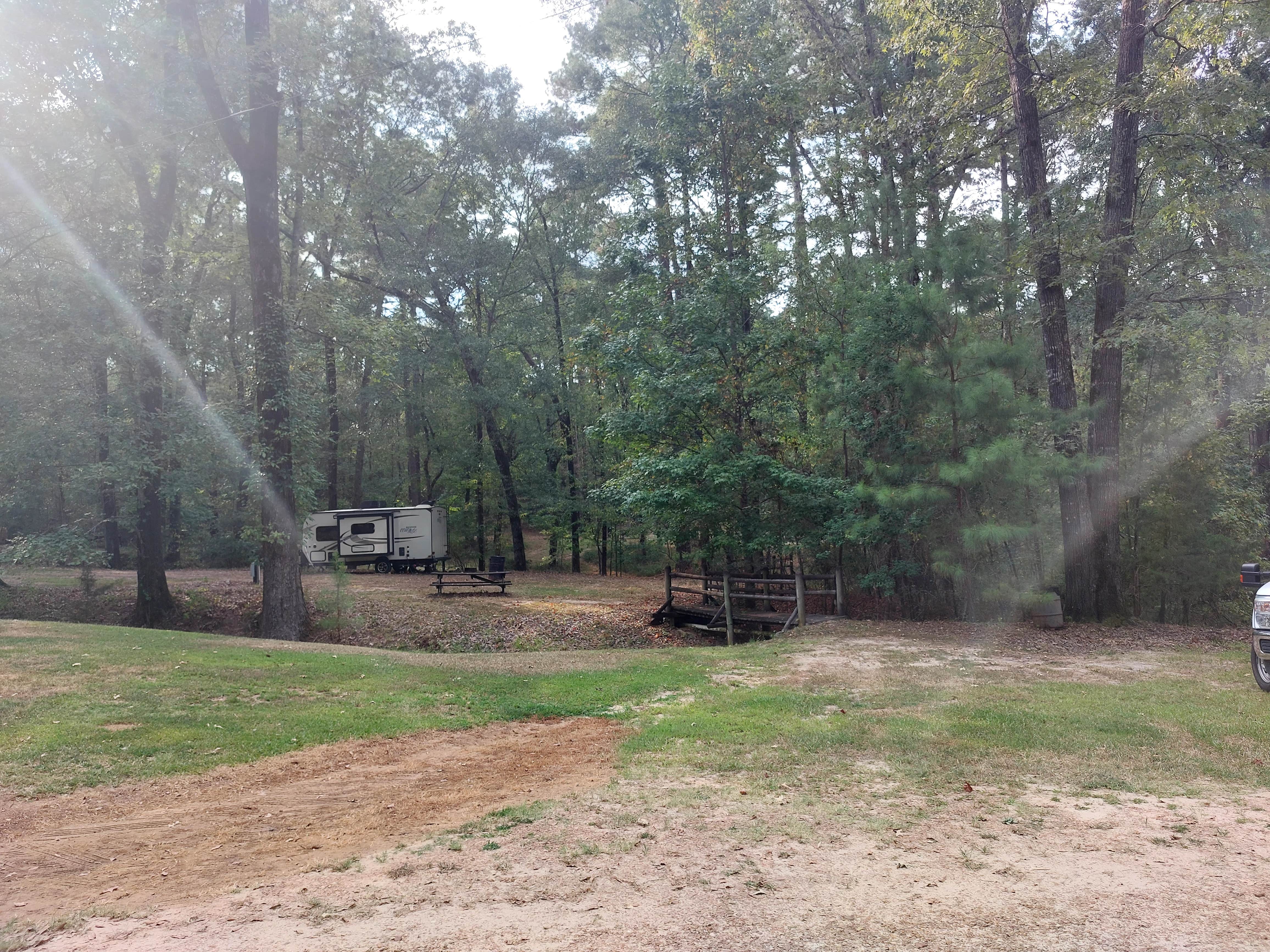 Camper submitted image from Mississippi Petrified Forest - 1