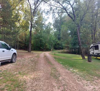 Camper-submitted photo from Mississippi Petrified Forest