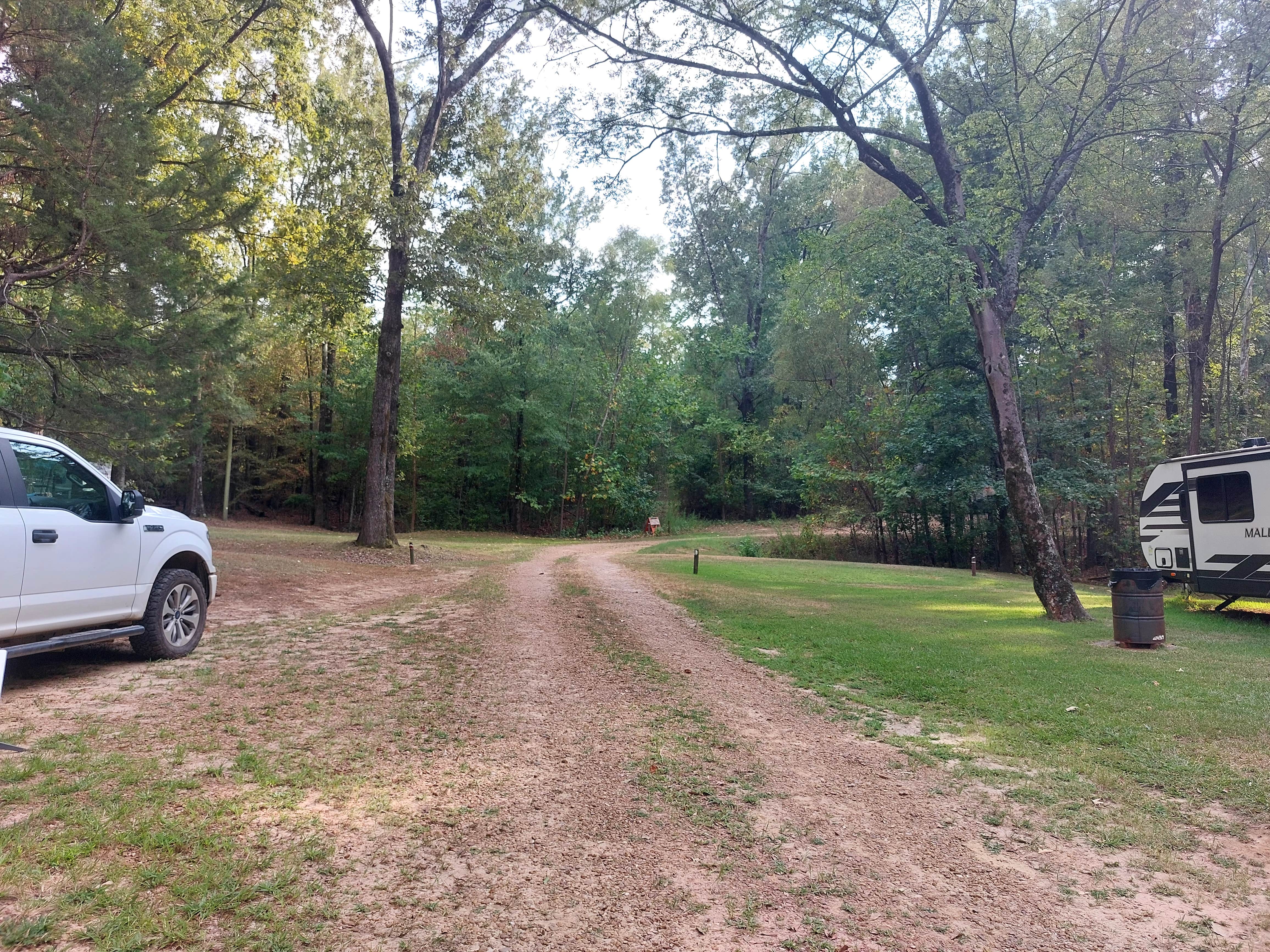 Camper submitted image from Mississippi Petrified Forest - 3