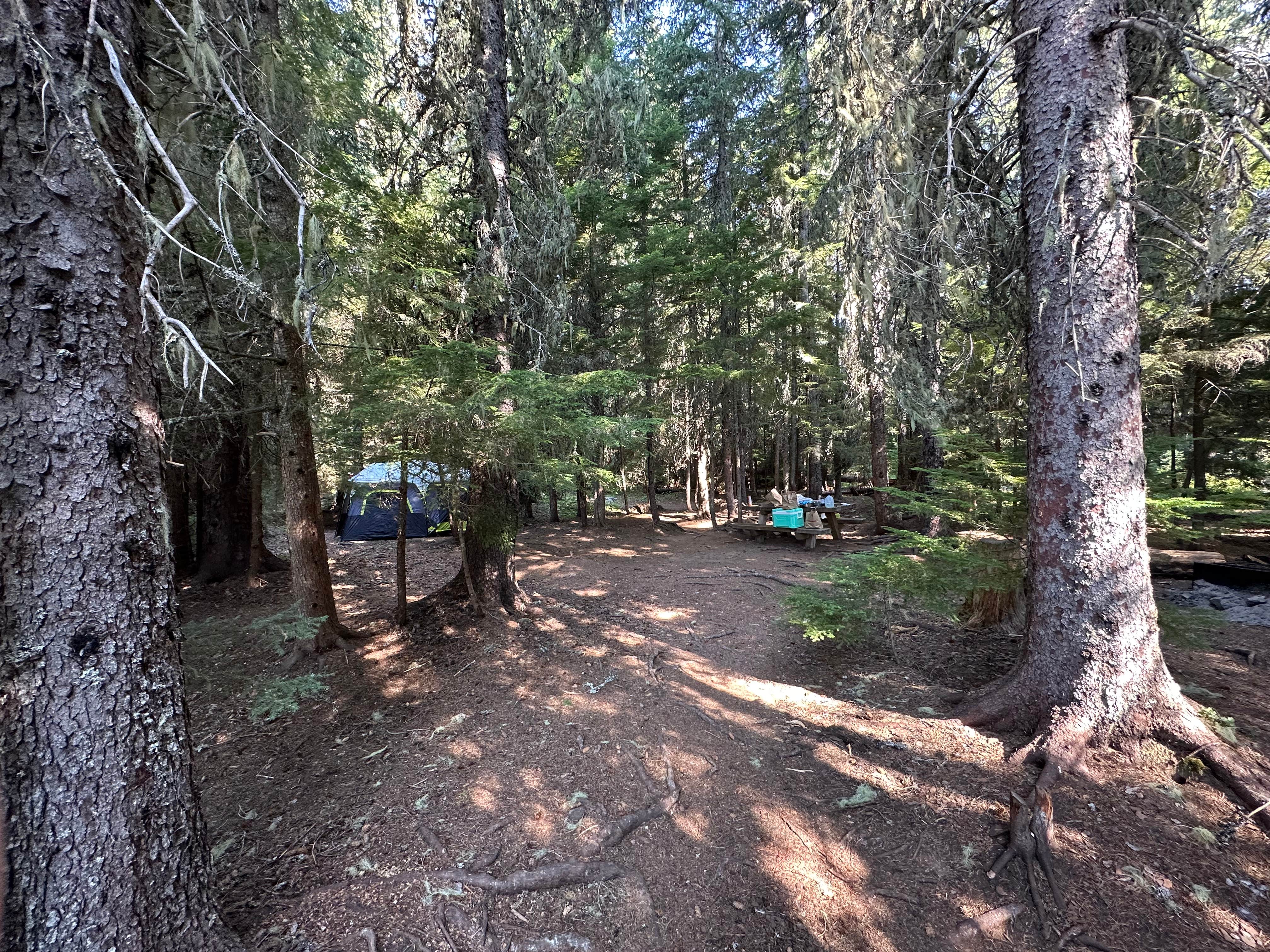 Jenna B.'s photo at Little Crater Lake near Mt. Hood National Forest