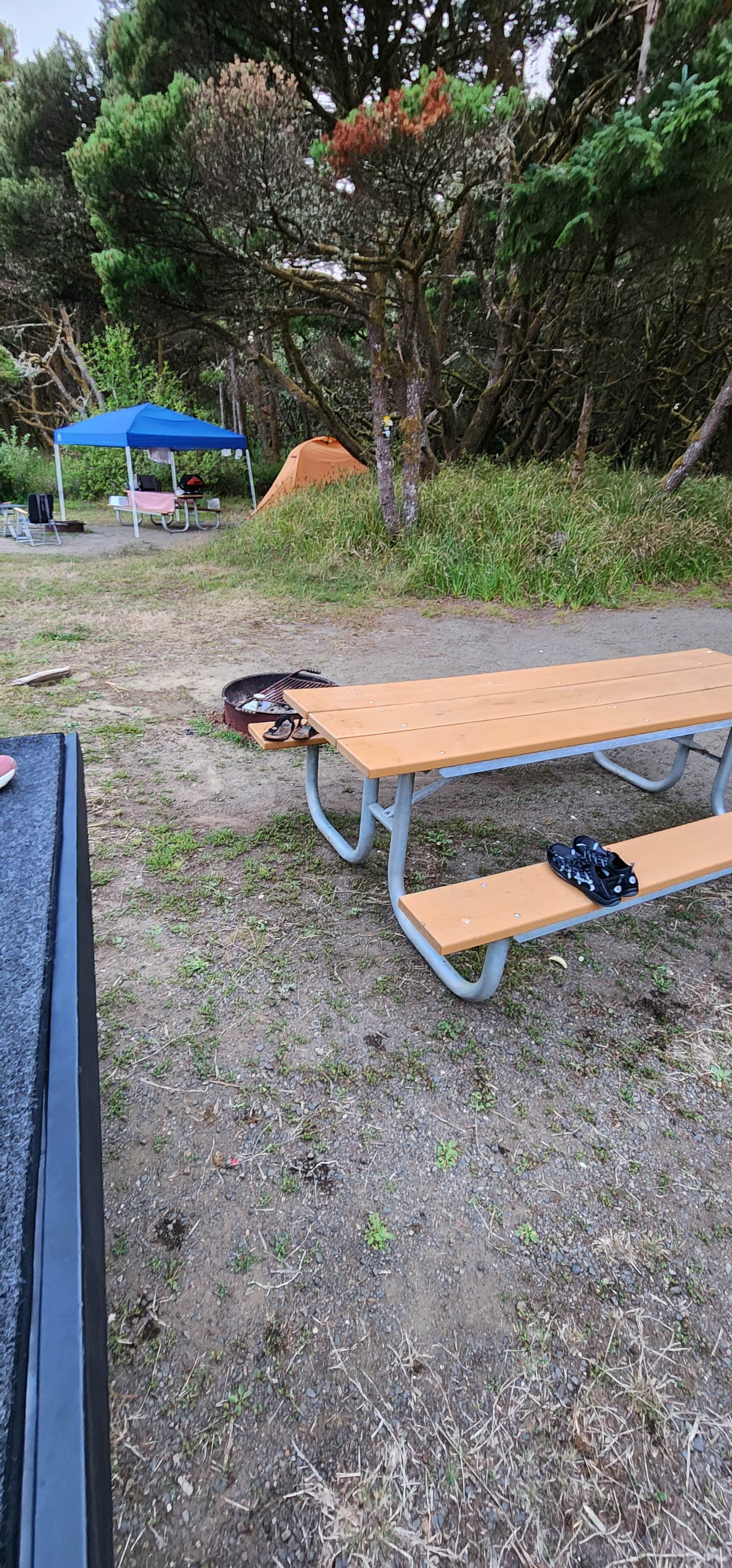 Jason's photo at Twin Harbors State Park Campground near Raymond, WA