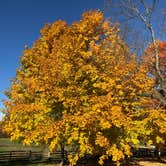 Review photo of Watkins Mill State Park Campground by Jim S., October 29, 2018