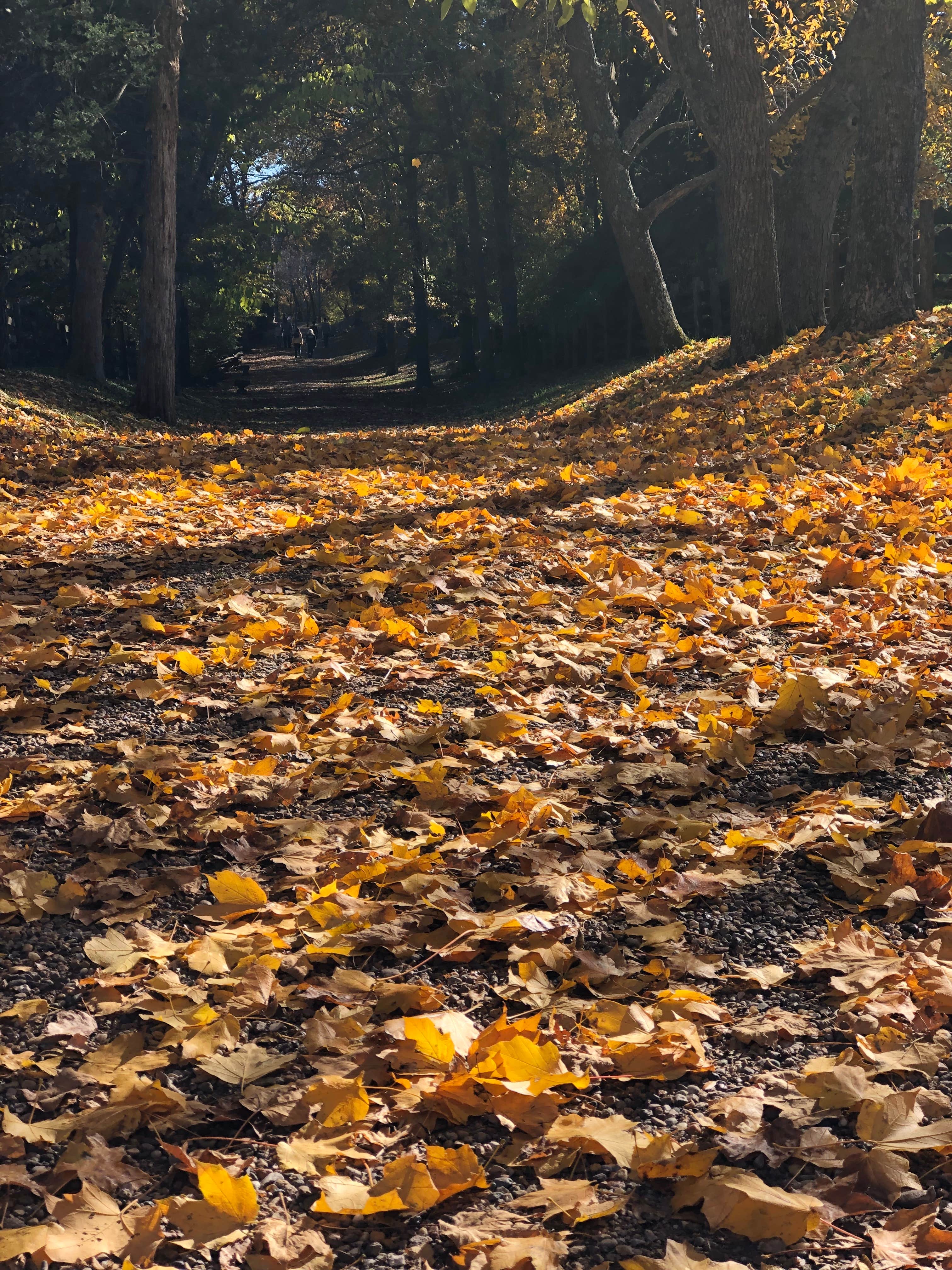 Camper-submitted photo at Watkins Mill State Park Campground near Olathe, KS