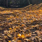 Review photo of Watkins Mill State Park Campground by Jim S., October 29, 2018