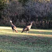 Review photo of Watkins Mill State Park Campground by Jim S., October 29, 2018