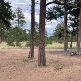 Review photo of Forest Service Road 250 Dispersed by Chris P., August 25, 2023