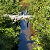 Review photo of Alder Dune Campground by James S., August 25, 2023