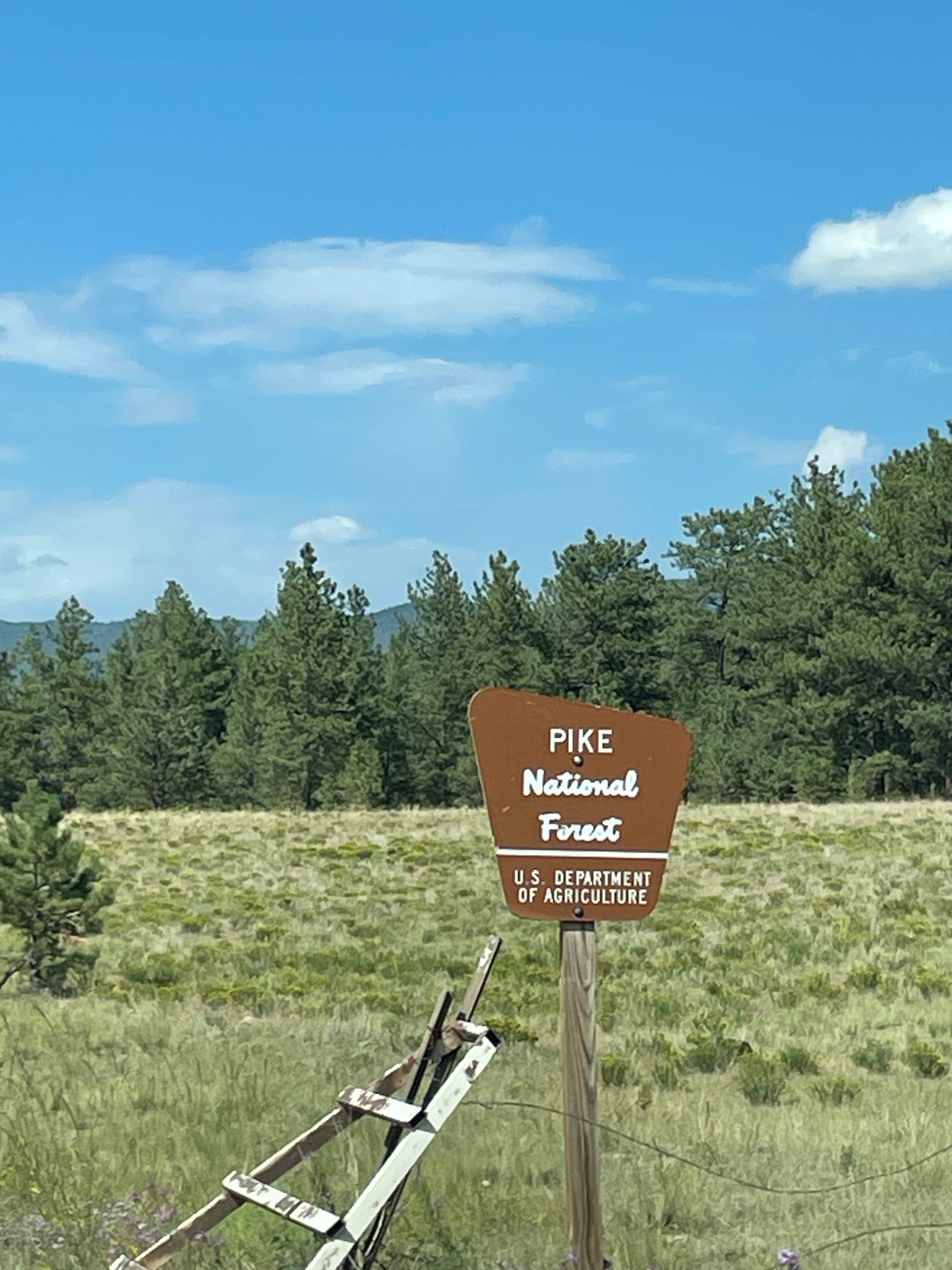 Chris P.'s photo of a dispersed camping area at Route 31 Camp near Florissant, CO