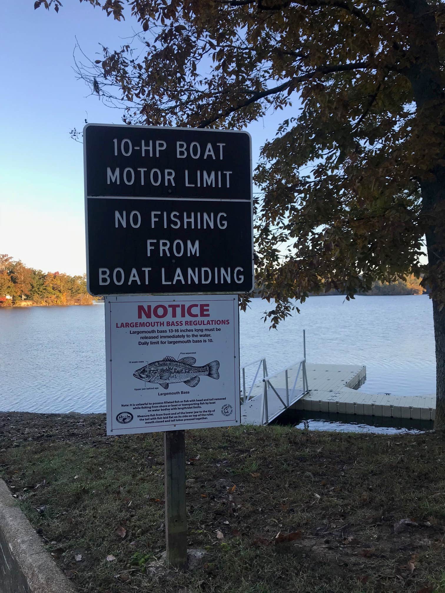 Mississippi River State Park Campground | LaGrange, Arkansas