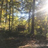 Review photo of Mississippi River State Park Campground by Shana D., October 29, 2018