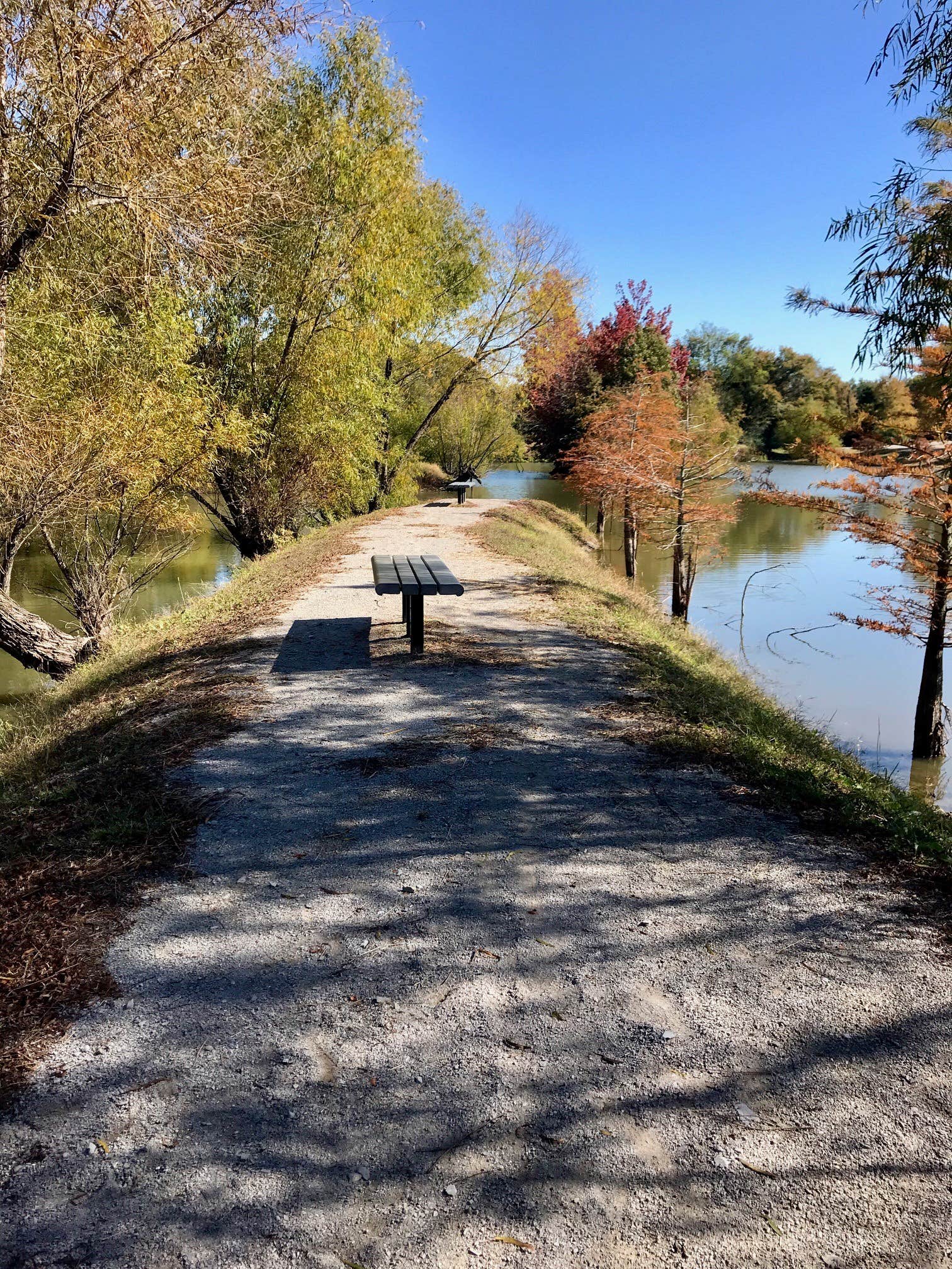 Camper submitted image from Mississippi River State Park Campground - 3