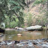 Review photo of Goose Creek Campground by Chris P., August 24, 2023
