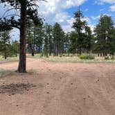 Review photo of Forest Service Road 250 Dispersed by Chris P., August 25, 2023