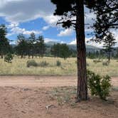 Review photo of Forest Service Road 250 Dispersed by Chris P., August 25, 2023