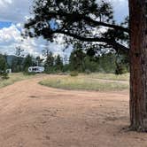 Review photo of Forest Service Road 250 Dispersed by Chris P., August 25, 2023