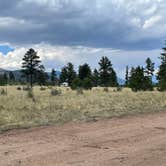 Review photo of Forest Service Road 250 Dispersed by Chris P., August 25, 2023