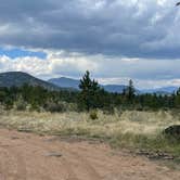 Review photo of Forest Service Road 250 Dispersed by Chris P., August 25, 2023