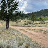 Review photo of Forest Service Road 250 Dispersed by Chris P., August 25, 2023