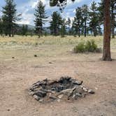 Review photo of Forest Service Road 250 Dispersed by Chris P., August 25, 2023