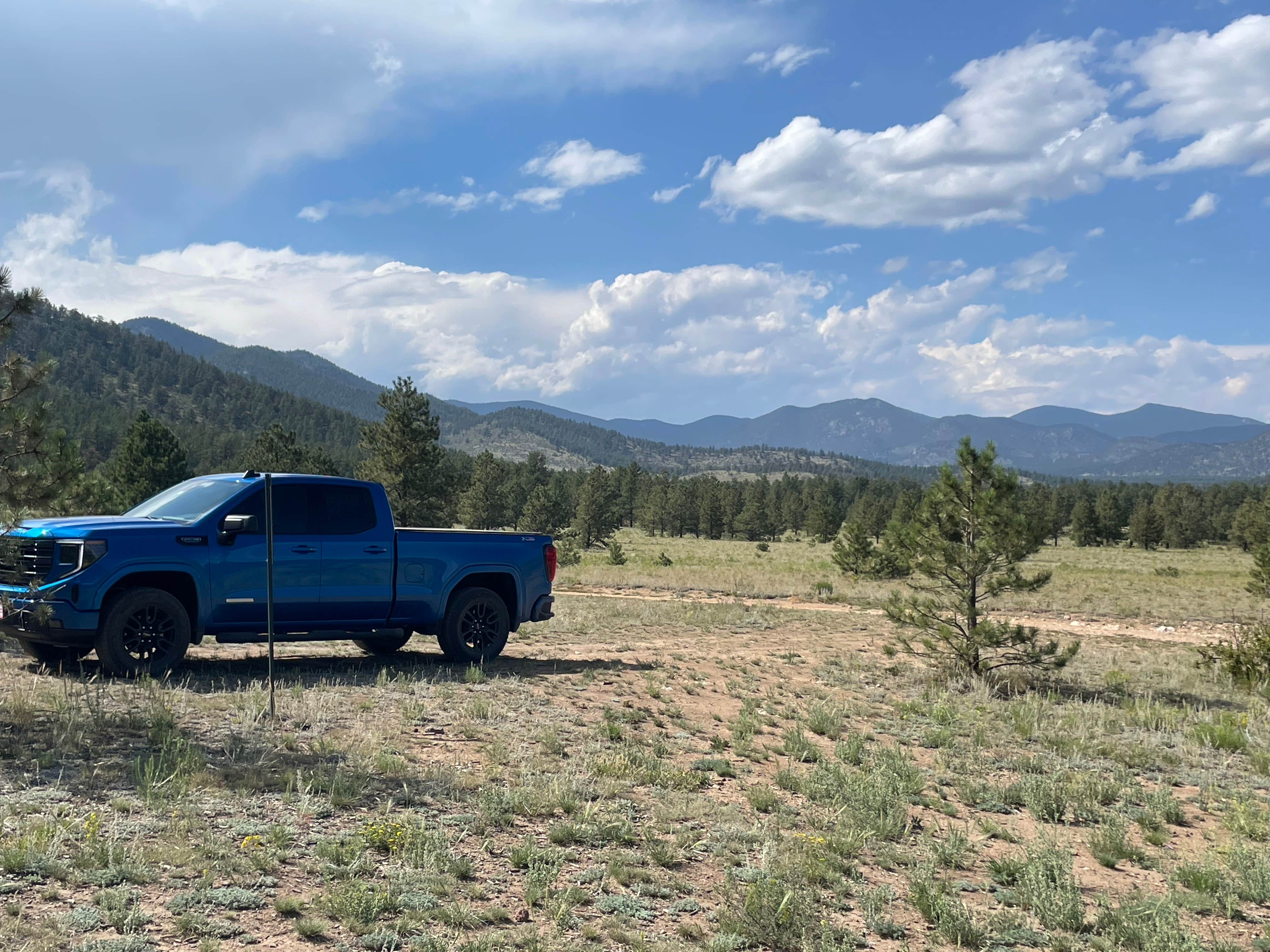 Camper-submitted photo at Route 31 Camp near Lake George, CO