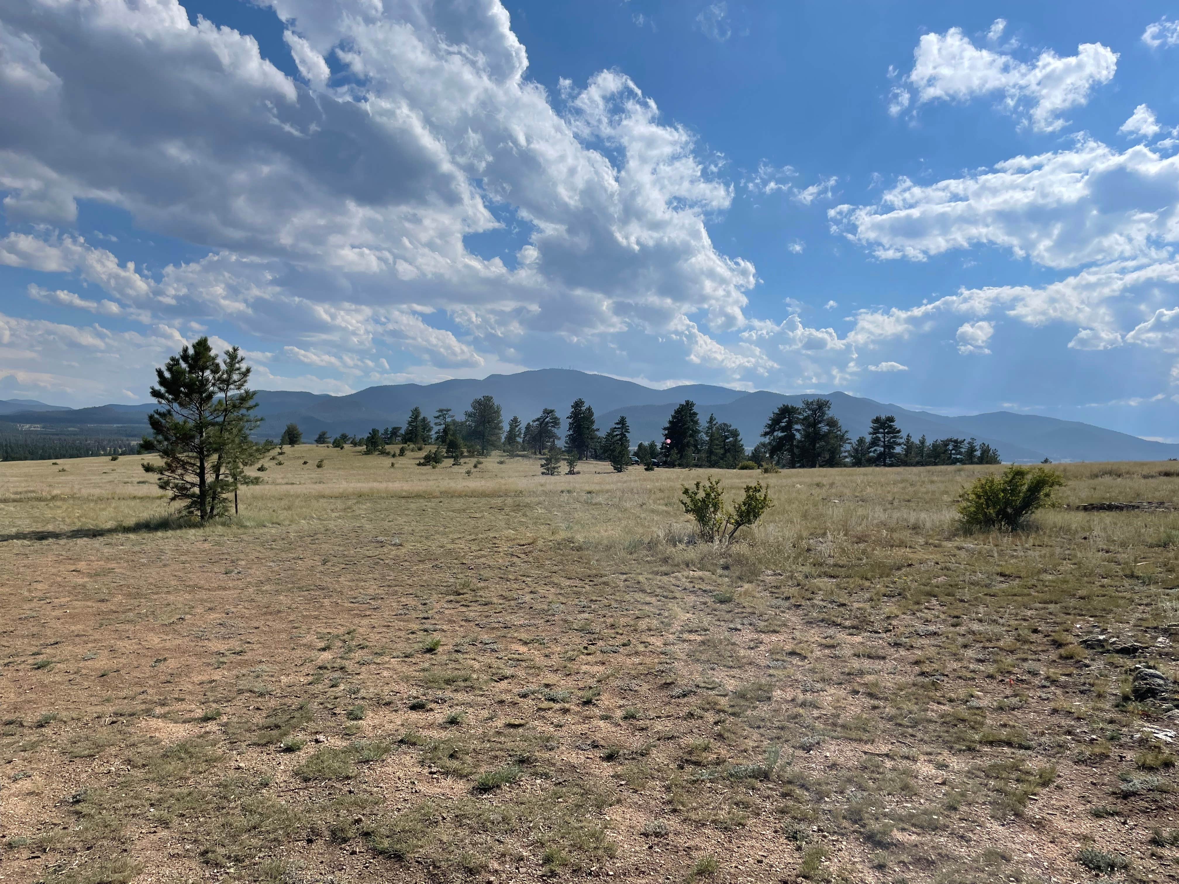 Chris P.'s photo of a dispersed camping area at China Wall Dispersed Site near Lake George, CO