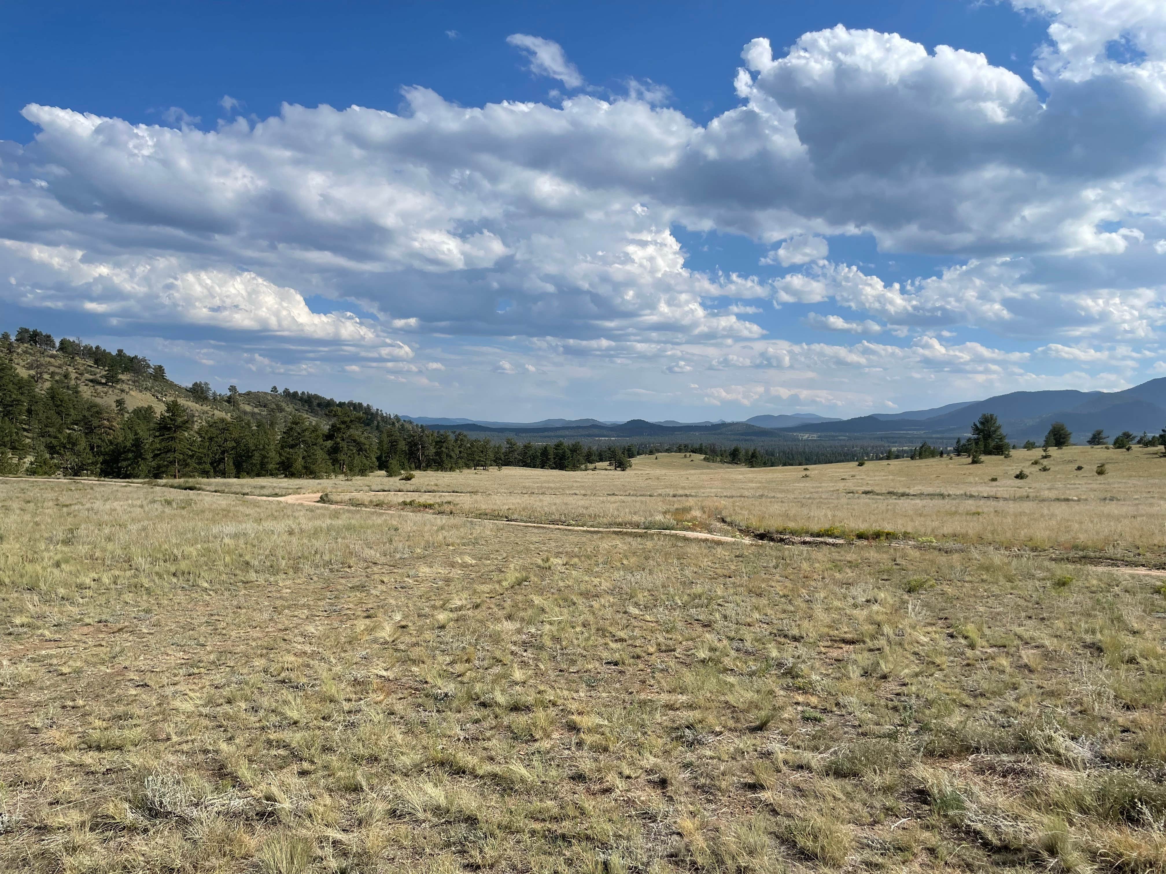 Camping near Round Mountain: China Wall Dispersed Site, Lake George, Colorado