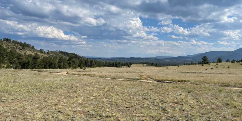 Camper submitted image from China Wall Dispersed Site