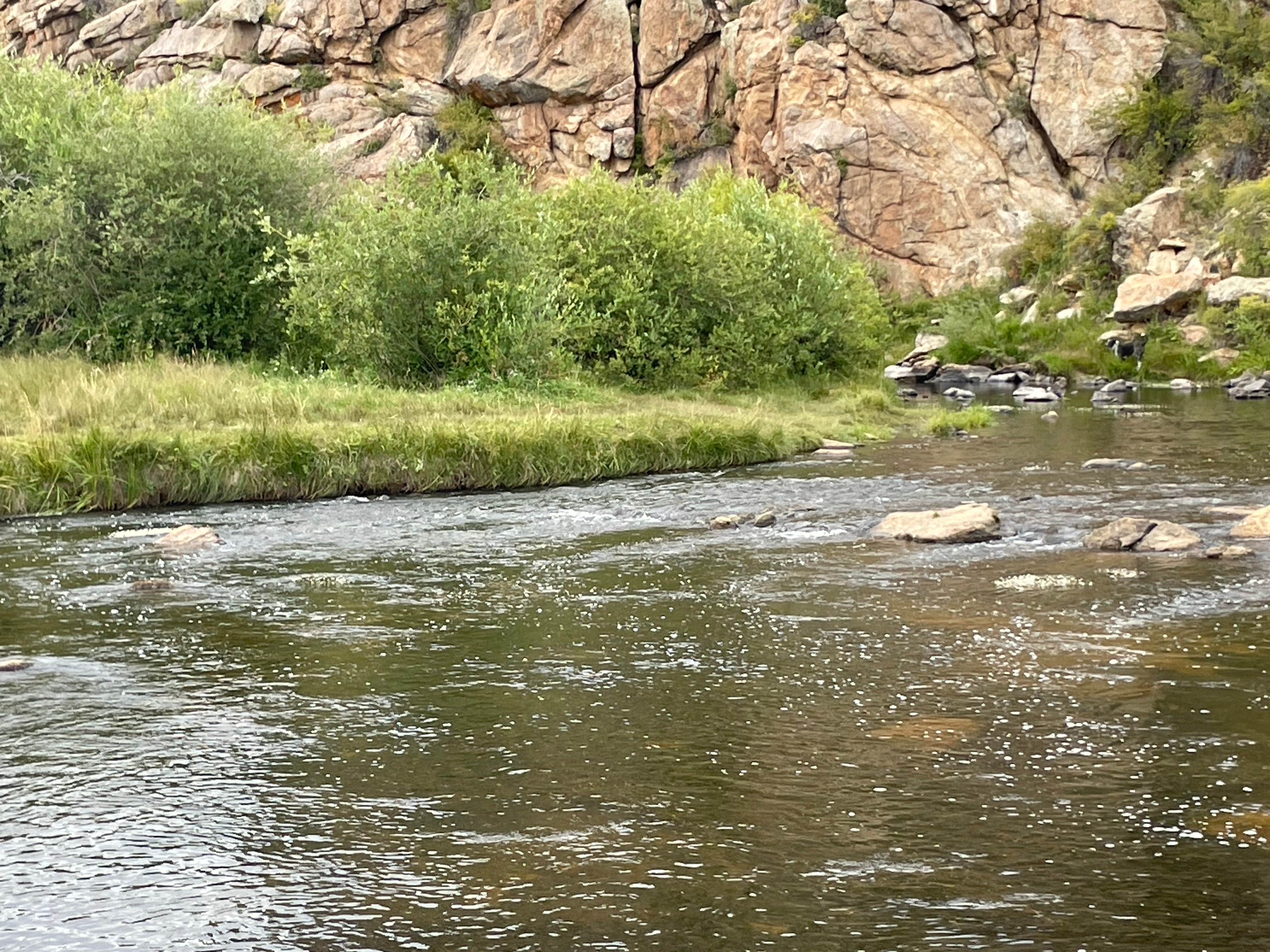 Camper-submitted photo at Dispersed camping FSR 239 near Hartsel, CO