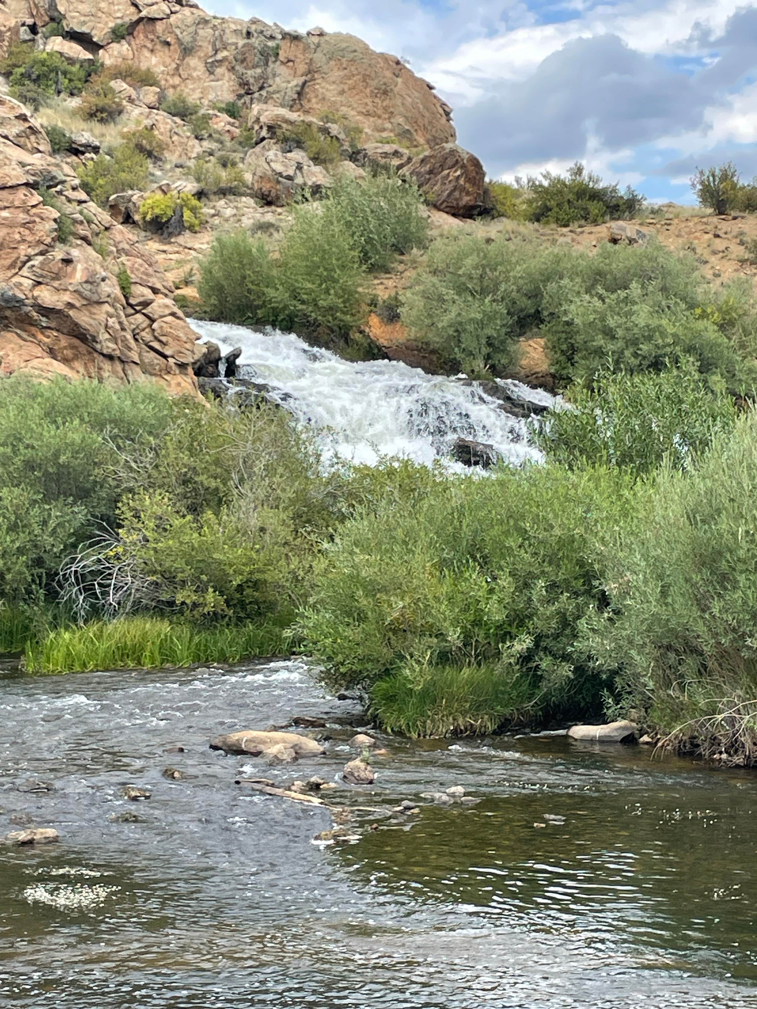 Camper-submitted photo at Dispersed camping FSR 239 near Hartsel, CO