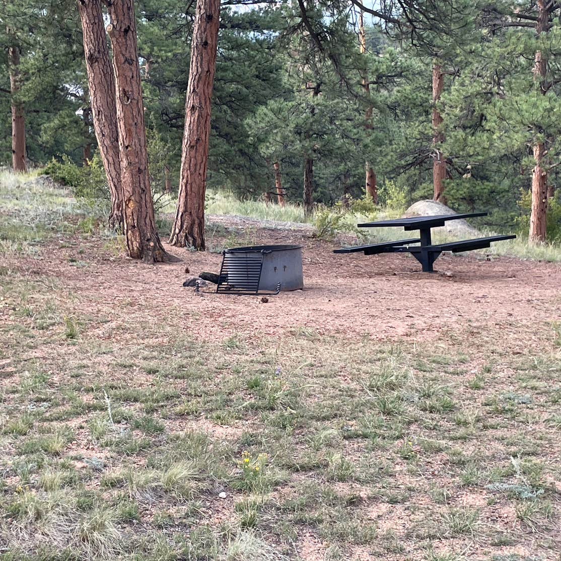 Twin Eagles Campground | Lake George, Colorado