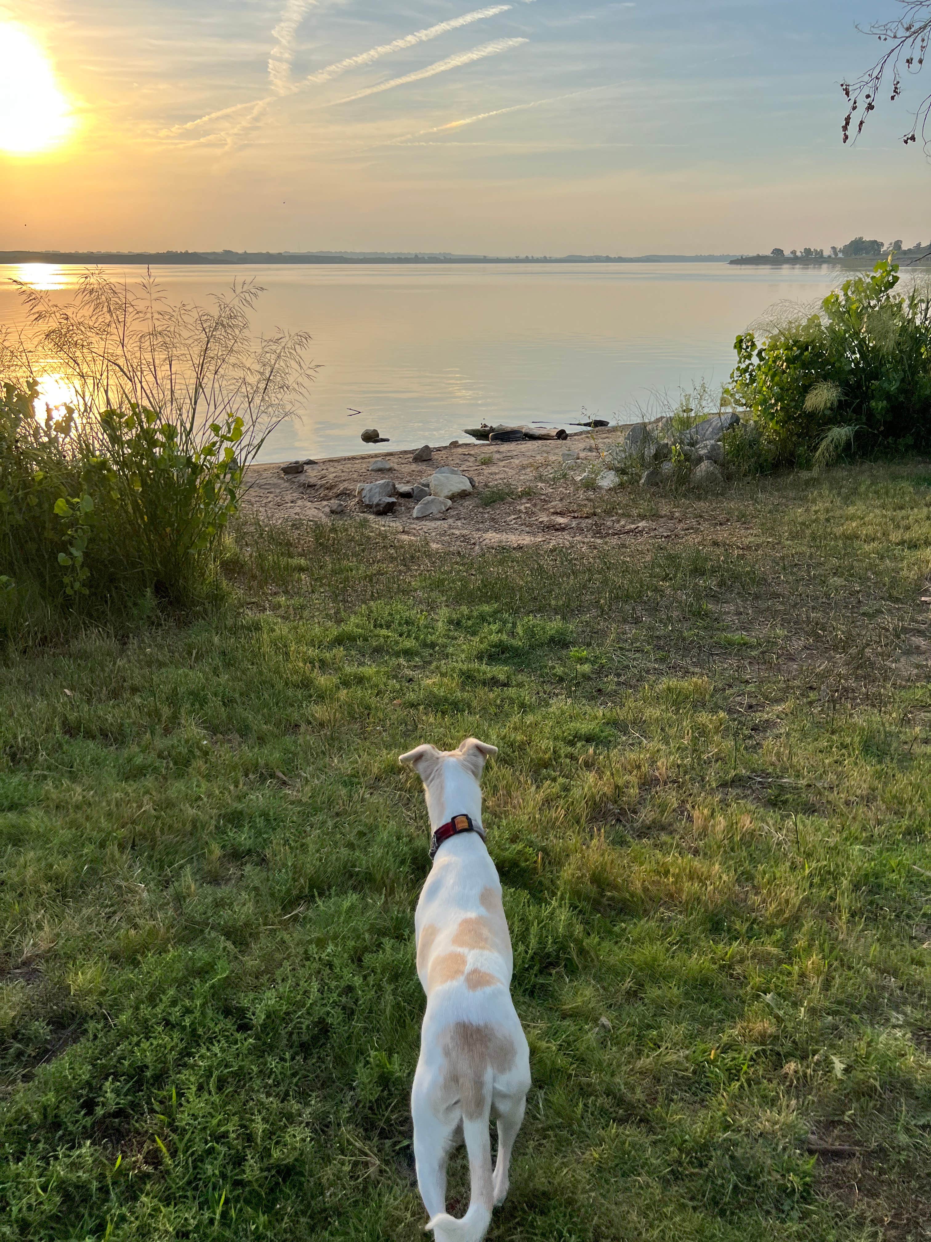 Randall K.'s photo of camping with pets at Minooka Park near Stockton, KS