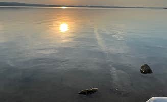 Randall K.'s photo of camping with pets at Minooka Park near Minneapolis, KS