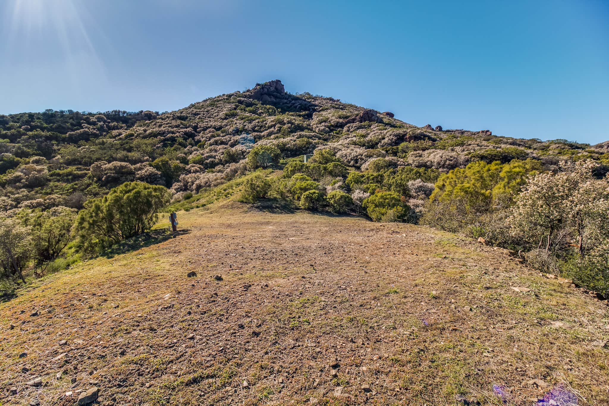 Camper submitted image from Malibu Mountain NO SITES AVAILABLE - 1