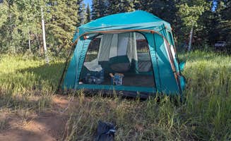 Elizabeth N.'s photo at Dixie National Forest Duck Creek Campground near Duck Creek Village, UT