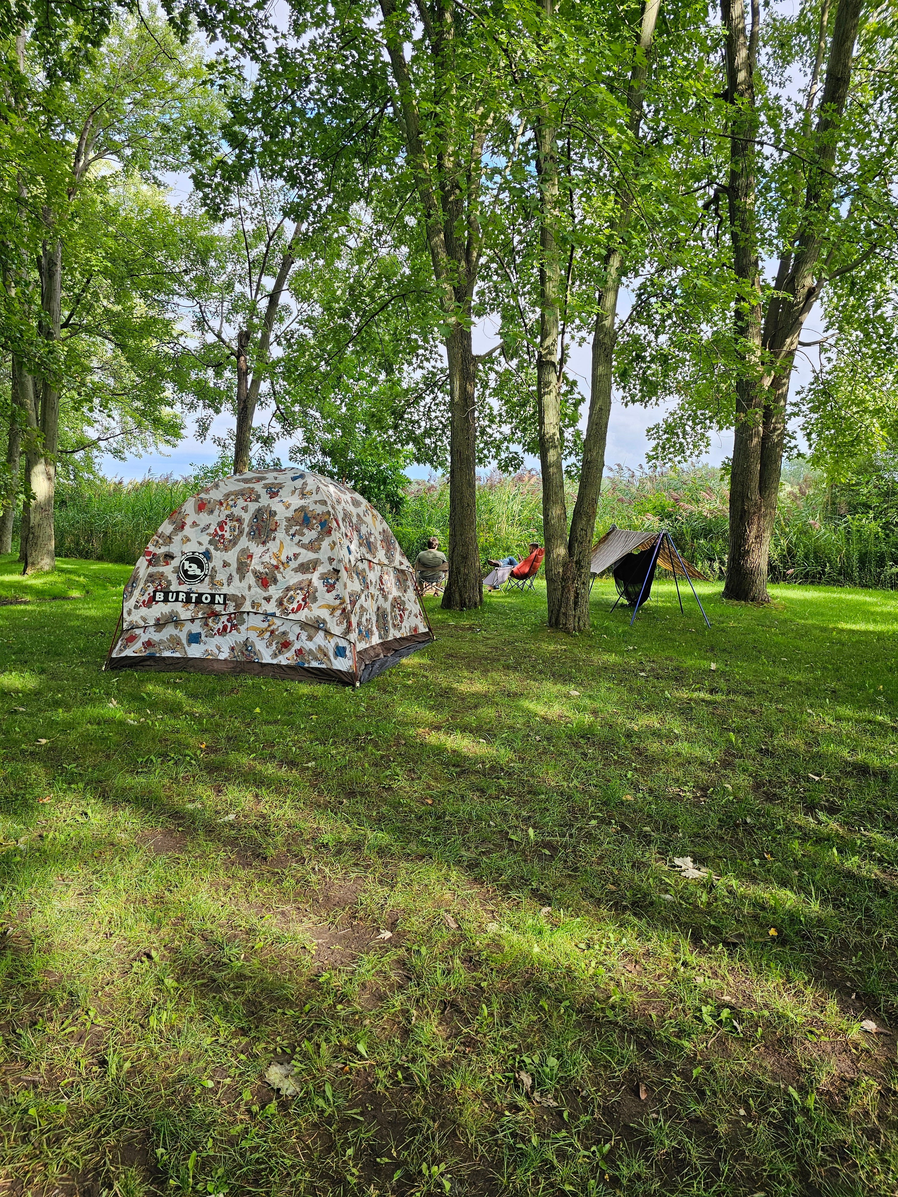 Camper submitted image from Oneida Shores County Park - 4