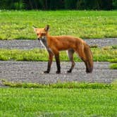 Review photo of Oneida Shores County Park by Tate T., August 25, 2023