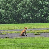 Review photo of Oneida Shores County Park by Tate T., August 25, 2023