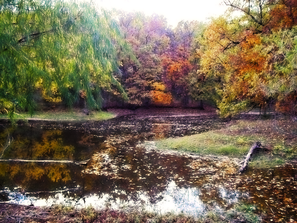 Camper-submitted photo at Silver Hind Farm near Mound City, KS
