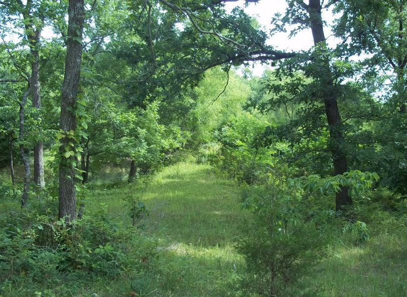 Camper-submitted photo at Silver Hind Farm near Mound City, KS