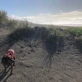 Review photo of Fort Stevens State Park Campground by Alicia F., October 29, 2018