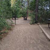 Review photo of Junction Creek Campground by ted , August 26, 2023