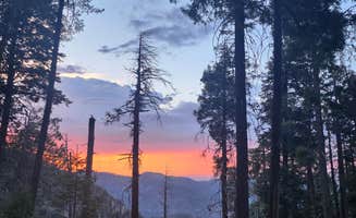 Jozi A.'s photo of a dispersed camping area at Mount Bigelow Dispersed near Mount Lemmon, AZ